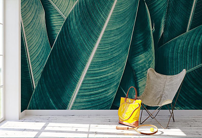 Fototapeta Banana jungle 1952